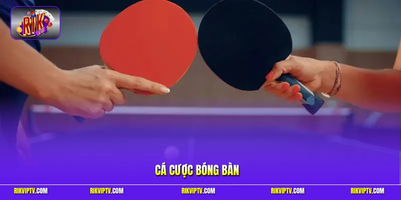 Cá cược bóng bàn