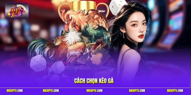 Cách chọn kèo gà