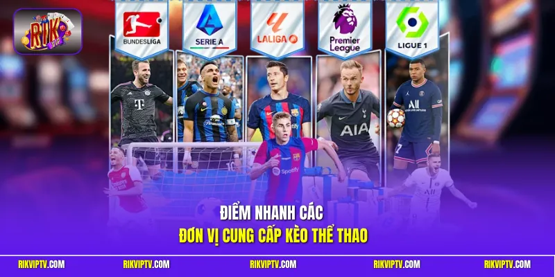 Điểm nhanh các đơn vị cung cấp kèo thể thao