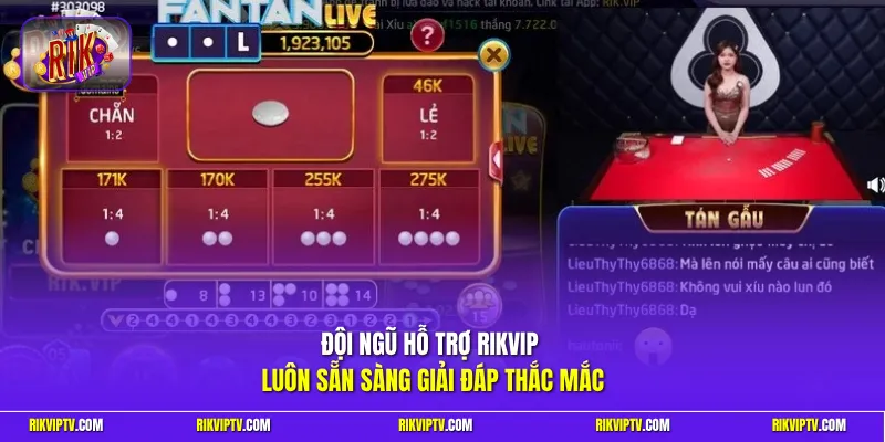 Đội ngũ hỗ trợ Rikvip luôn sẵn sàng giải đáp thắc mắc 