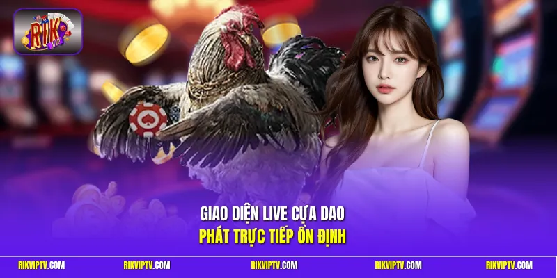Giao diện live cựa dao phát trực tiếp ổn định