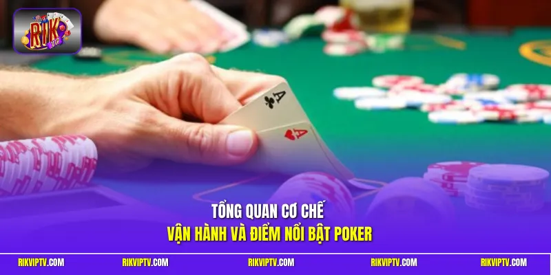 Tổng quan cơ chế vận hành và điểm nổi bật poker